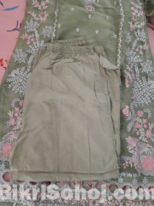 Pakistani organza dress